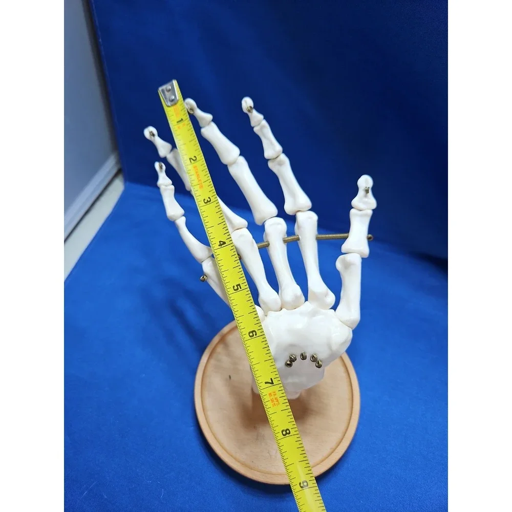 Skeleton Hand Jewelry Stand Ring Necklace Holder Gothic Halloween Life-Size